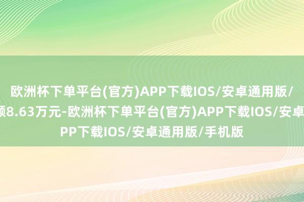 欧洲杯下单平台(官方)APP下载IOS/安卓通用版/手机版卖出金额8.63万元-欧洲杯下单平台(官方)APP下载IOS/安卓通用版/手机版