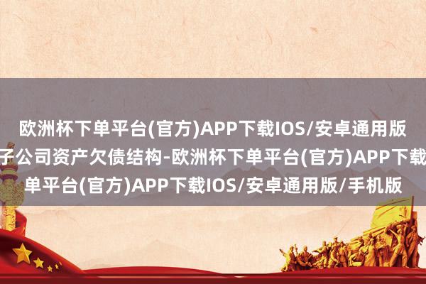 欧洲杯下单平台(官方)APP下载IOS/安卓通用版/手机版为优化公司全资子公司资产欠债结构-欧洲杯下单平台(官方)APP下载IOS/安卓通用版/手机版