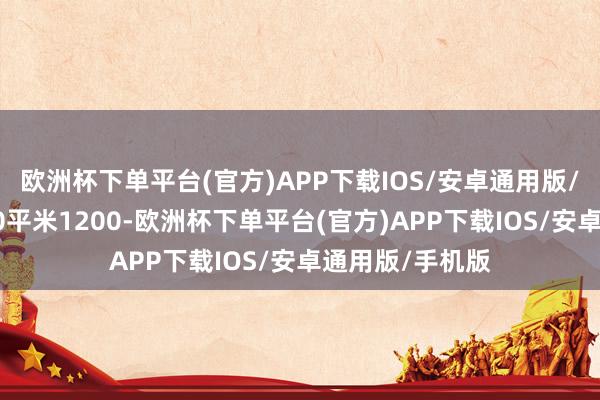 欧洲杯下单平台(官方)APP下载IOS/安卓通用版/手机版固原100平米1200-欧洲杯下单平台(官方)APP下载IOS/安卓通用版/手机版