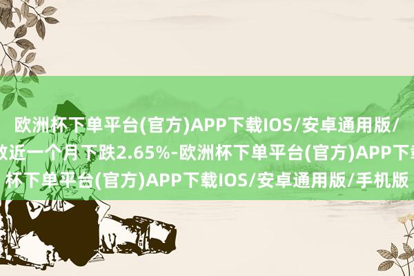 欧洲杯下单平台(官方)APP下载IOS/安卓通用版/手机版中证800传媒指数近一个月下跌2.65%-欧洲杯下单平台(官方)APP下载IOS/安卓通用版/手机版