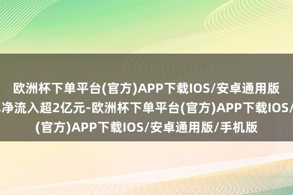 欧洲杯下单平台(官方)APP下载IOS/安卓通用版/手机版36股特大单净流入超2亿元-欧洲杯下单平台(官方)APP下载IOS/安卓通用版/手机版