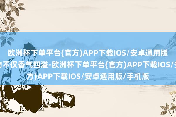 欧洲杯下单平台(官方)APP下载IOS/安卓通用版/手机版洗后的衣物不仅香气四溢-欧洲杯下单平台(官方)APP下载IOS/安卓通用版/手机版