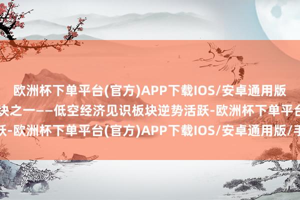 欧洲杯下单平台(官方)APP下载IOS/安卓通用版/手机版近期A股最热板块之一——低空经济见识板块逆势活跃-欧洲杯下单平台(官方)APP下载IOS/安卓通用版/手机版