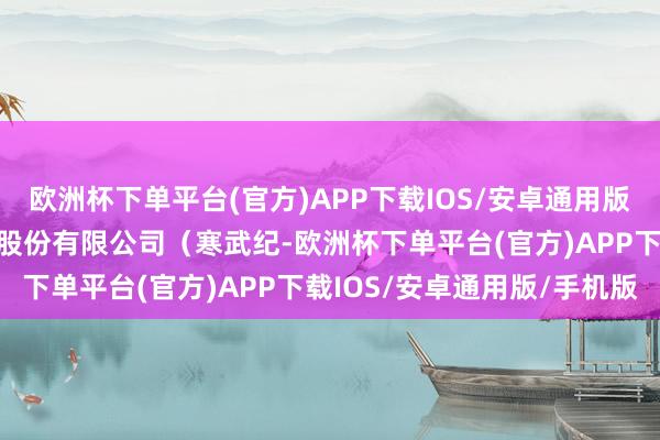 欧洲杯下单平台(官方)APP下载IOS/安卓通用版/手机版中科寒武纪科技股份有限公司（寒武纪-欧洲杯下单平台(官方)APP下载IOS/安卓通用版/手机版