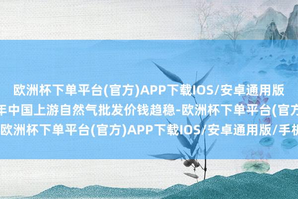 欧洲杯下单平台(官方)APP下载IOS/安卓通用版/手机版2、瞻望2025年中国上游自然气批发价钱趋稳-欧洲杯下单平台(官方)APP下载IOS/安卓通用版/手机版