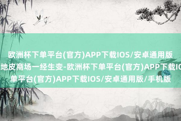 欧洲杯下单平台(官方)APP下载IOS/安卓通用版/手机版2024年的北京地皮商场一经生变-欧洲杯下单平台(官方)APP下载IOS/安卓通用版/手机版