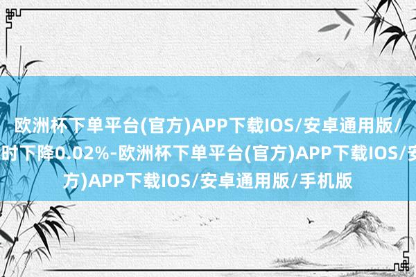 欧洲杯下单平台(官方)APP下载IOS/安卓通用版/手机版较前一往往时下降0.02%-欧洲杯下单平台(官方)APP下载IOS/安卓通用版/手机版